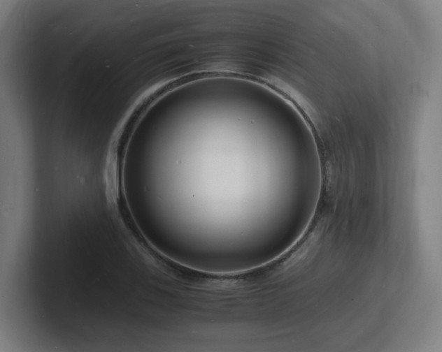 X0000102781123200808181144