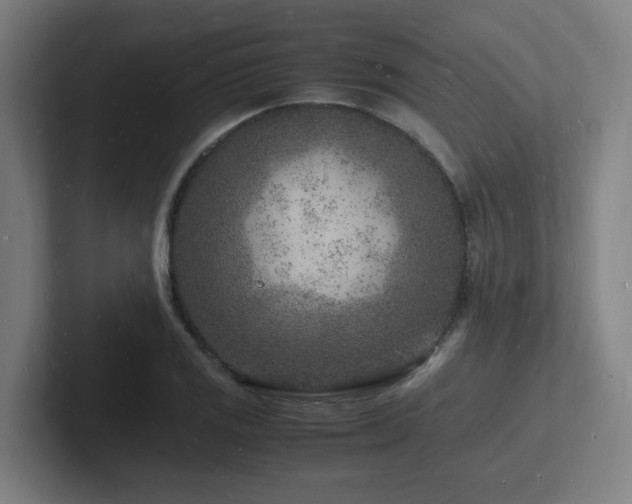 X0000102781125200808181144