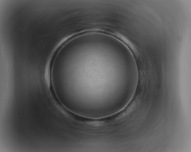 X0000102781127200808181144