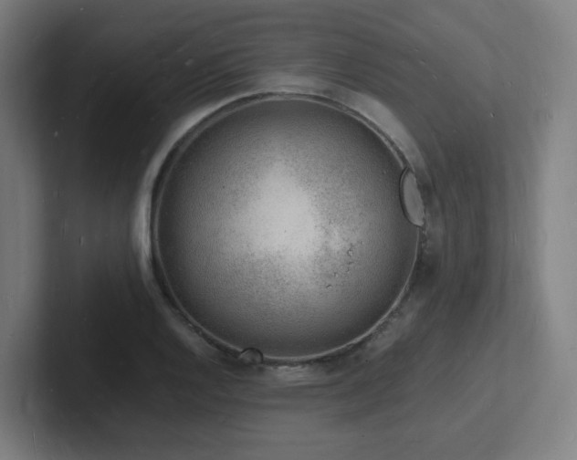 X0000102781128200808181144