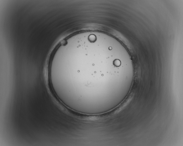 X0000102781130200808181144