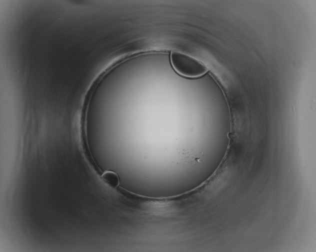 X0000102781134200808181144