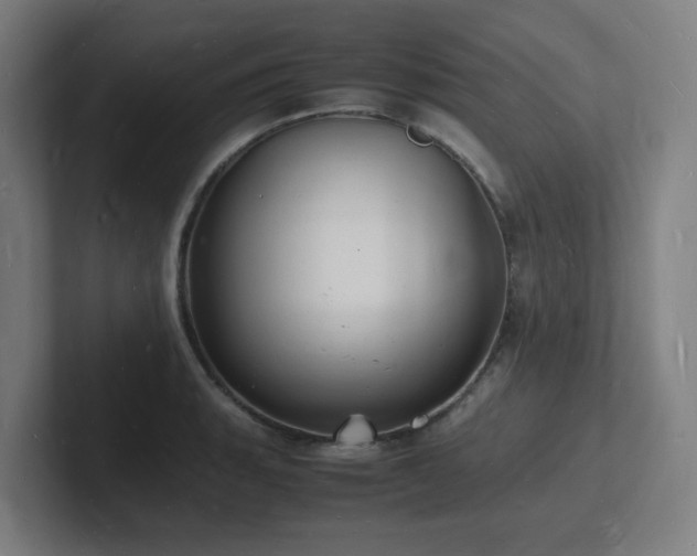 X0000102781135200808181144