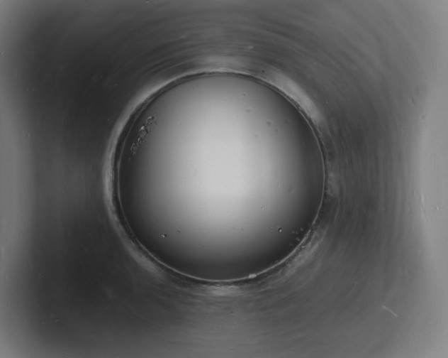 X0000102781136200808181144