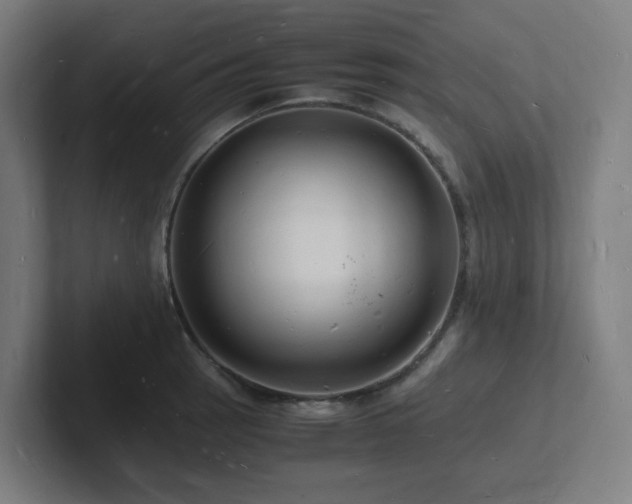 X0000102781137200808181144