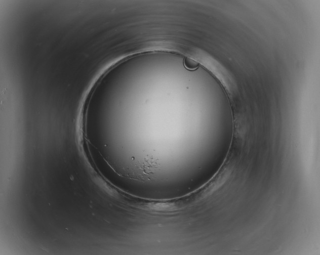 X0000102781140200808181144