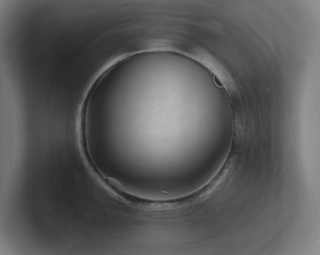 X0000102781142200808181144