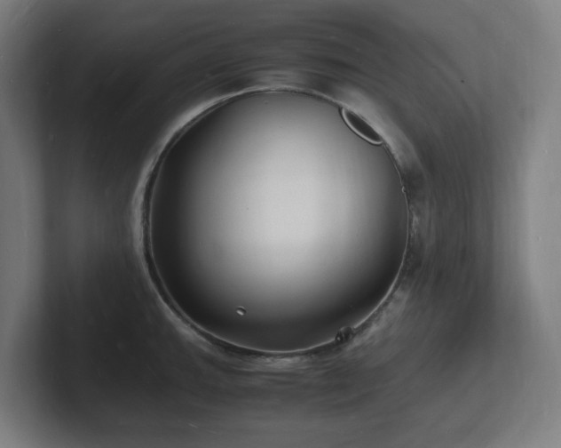 X0000102781143200808181144