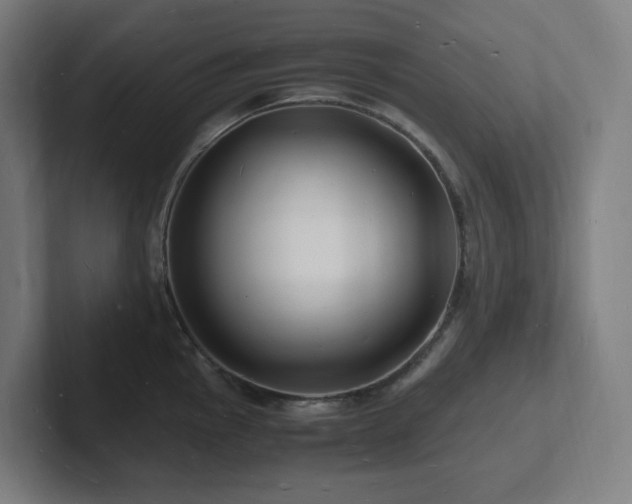 X0000102781145200808181144