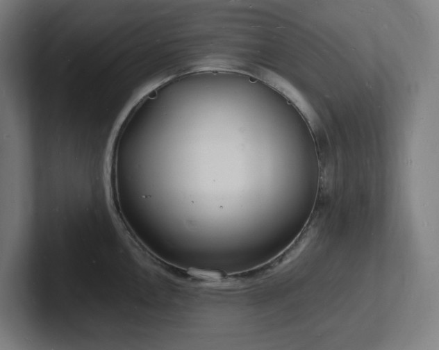 X0000102781146200808181144