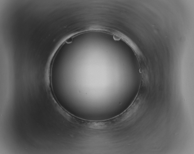 X0000102781148200808181144