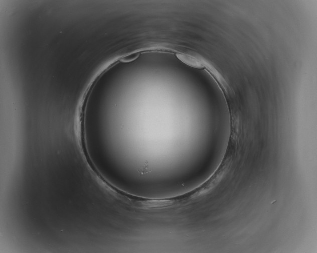 X0000102781151200808181144