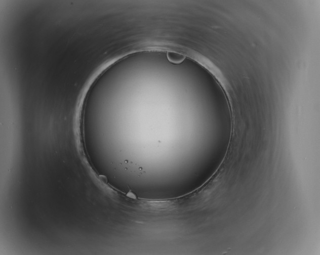 X0000102781152200808181144