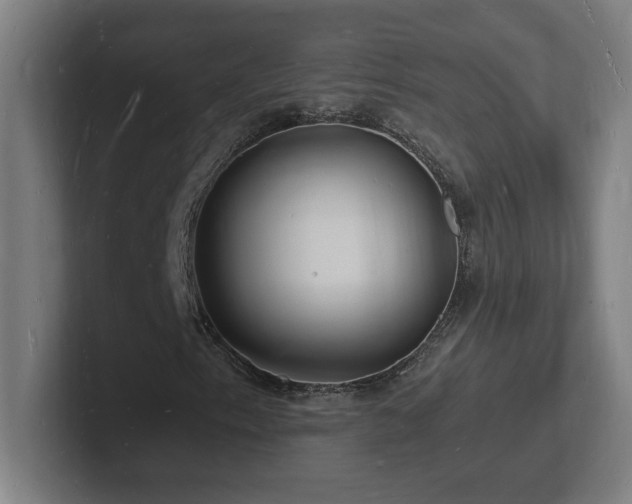 X0000102781153200808181144