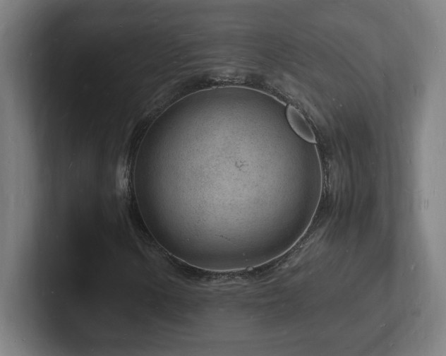 X0000102781154200808181144