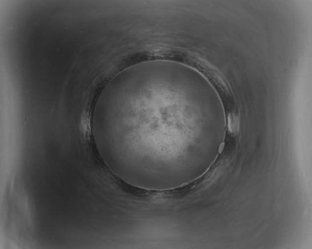 X0000102781155200808181144