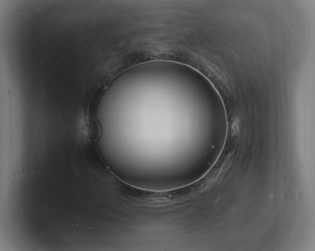 X0000102781156200808181144