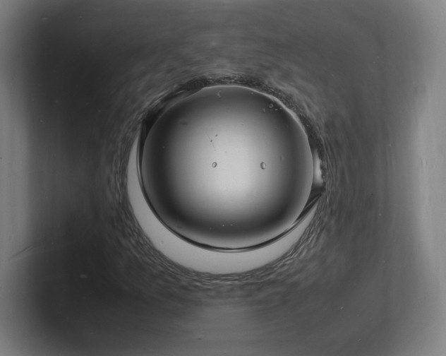 X0000102781157200808181144