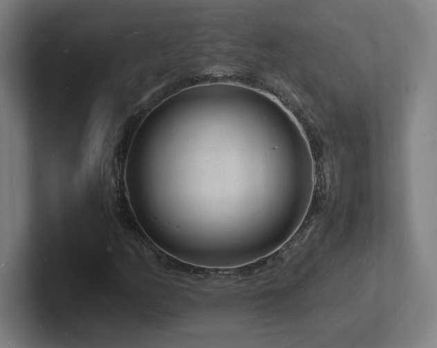 X0000102781158200808181144