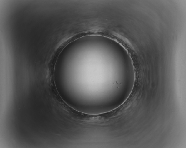 X0000102781160200808181144