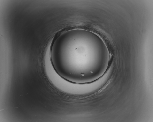 X0000102781161200808181144