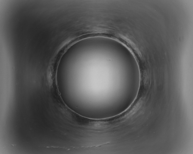 X0000102781163200808181144