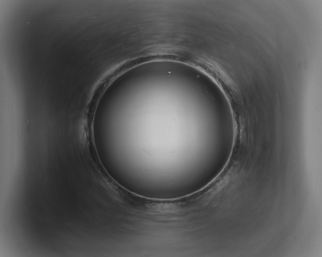 X0000102781164200808181144