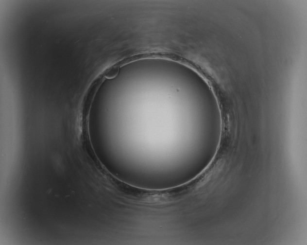 X0000102781165200808181144