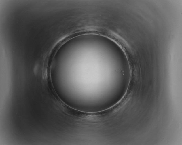 X0000102781166200808181144