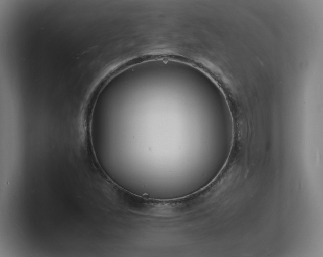 X0000102781167200808181144