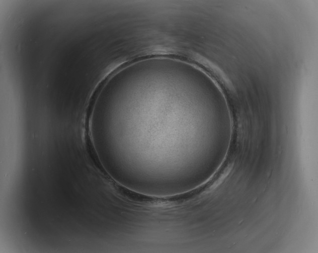 X0000102781170200808181144