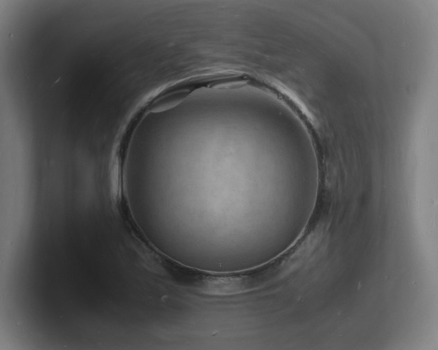 X0000102781171200808181144