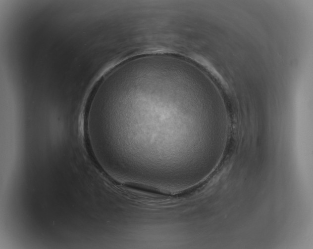 X0000102781173200808181144