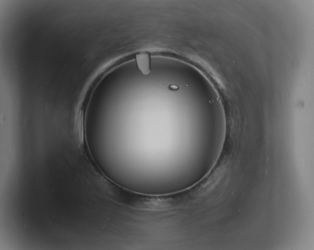 X0000102781175200808181143