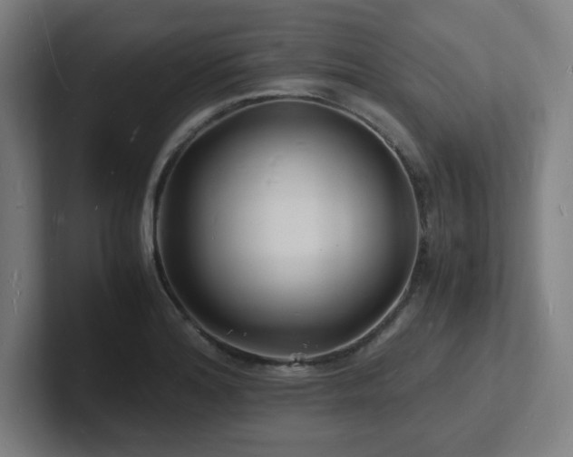 X0000102781180200808181143