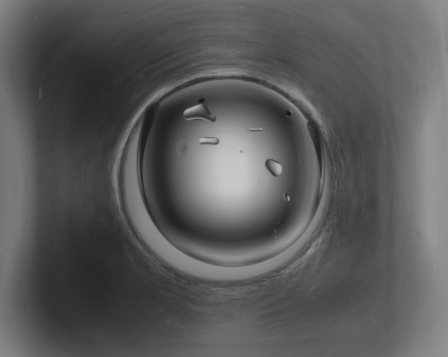 X0000102781181200808181143