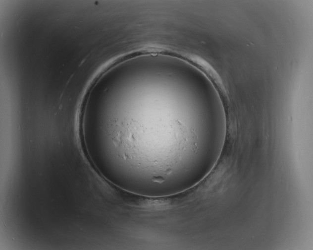 X0000102781183200808181143