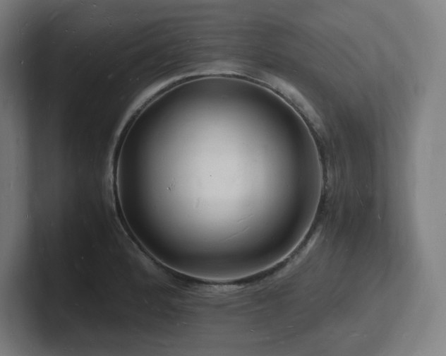 X0000102781184200808181143