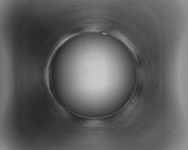 X0000102781187200808181143