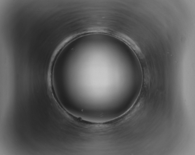 X0000102781188200808181143