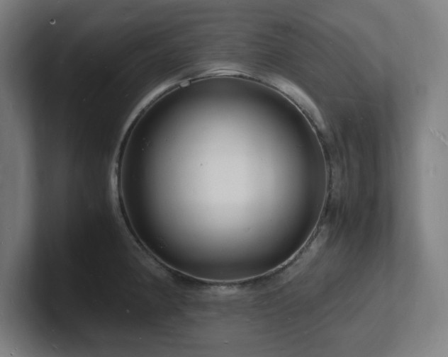 X0000102781190200808181143