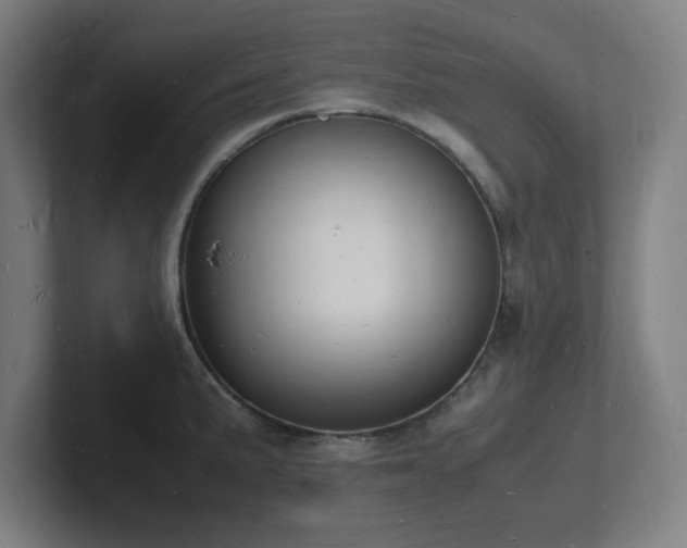 X0000102781191200808181143