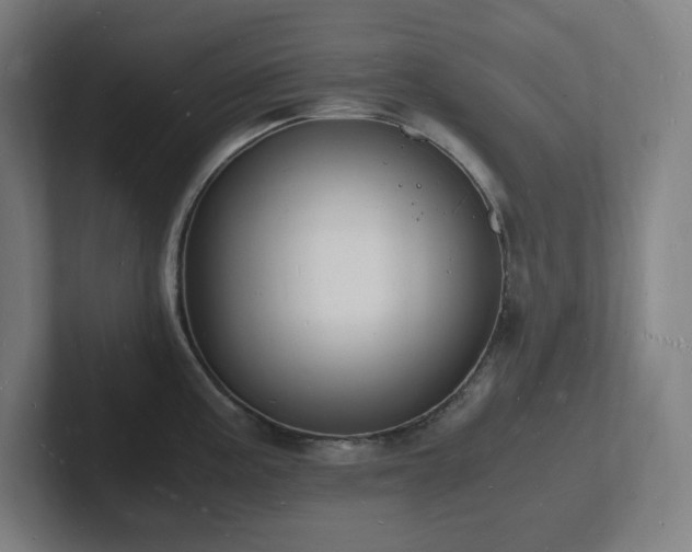 X0000102781195200808181143