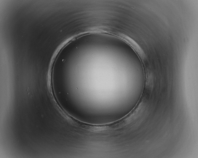 X0000102781196200808181143