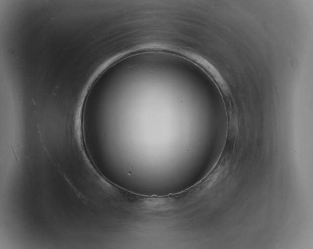 X0000102781199200808181143