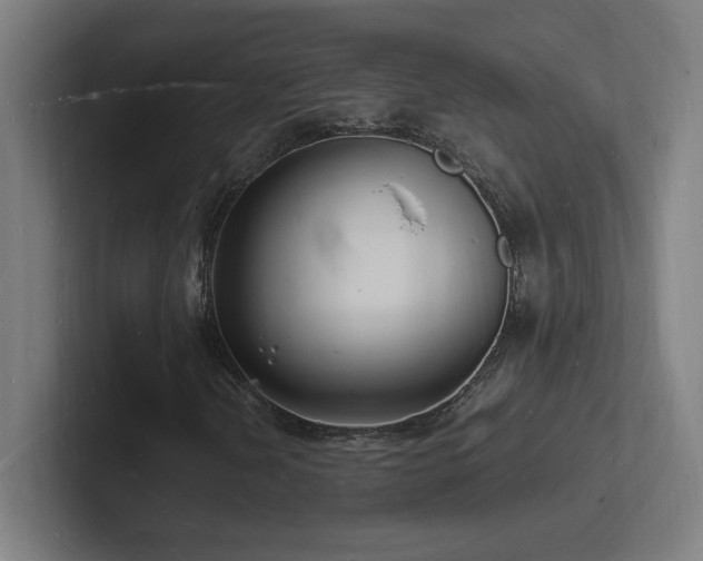 X0000102781202200808181142