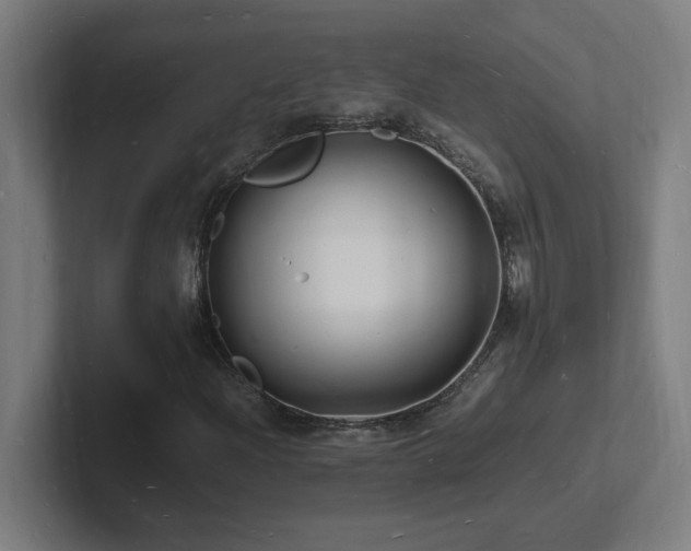 X0000102781204200808181143