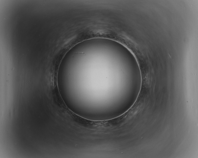 X0000102781205200808181143