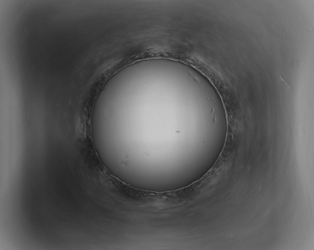 X0000102781207200808181143