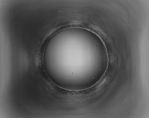 X0000102781208200808181143